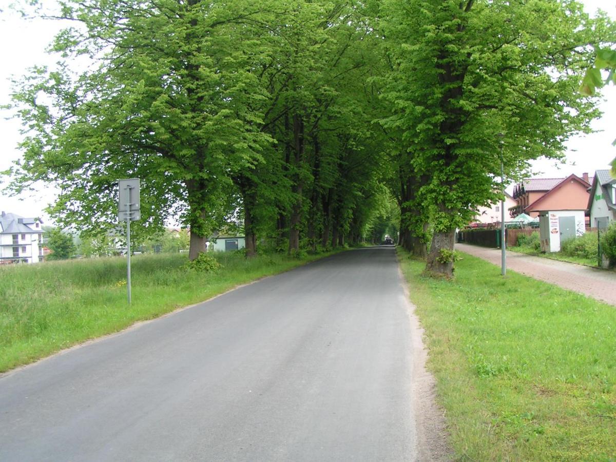 Wantaris - domki letniskowe Mielno  Exteriör bild